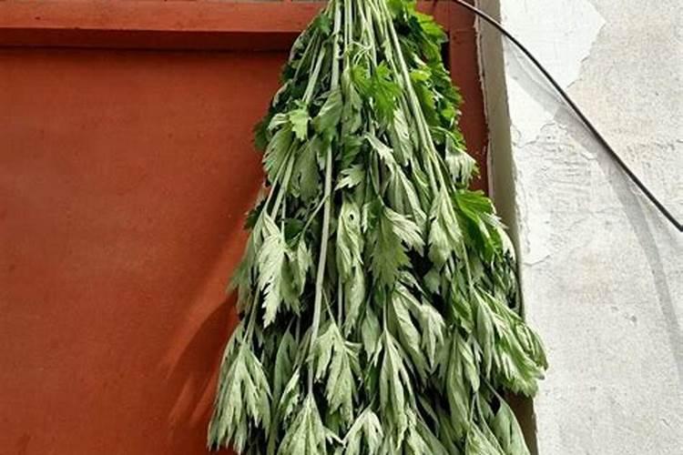 今年端午节艾叶怎么挂在门上最好