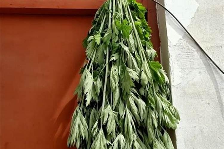 过端午节艾草怎么挂