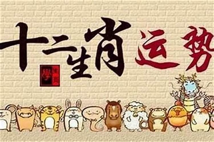 为什么属牛的女人命不好 几月出生最不好