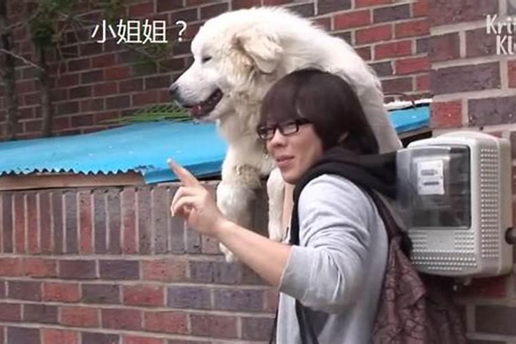 女人走印运是什么意思？