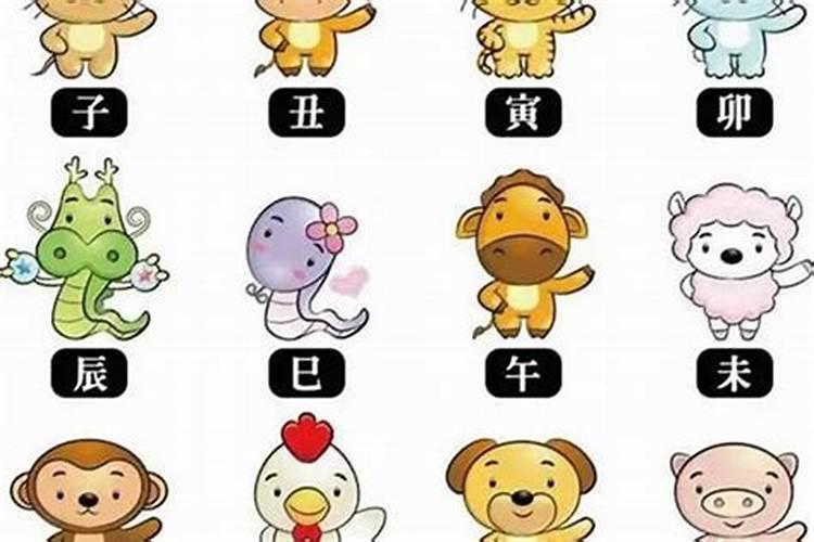 82狗女2025年每月运程