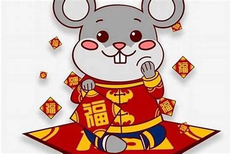 属鼠的今年的运气怎样