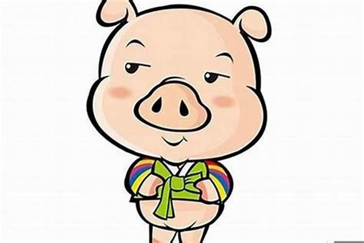 属猪的和什么生肖合得来,属猪的三大贵人