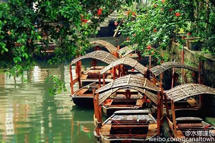 广州附近清明节适合去哪里旅游(清明节去广州哪里好玩)