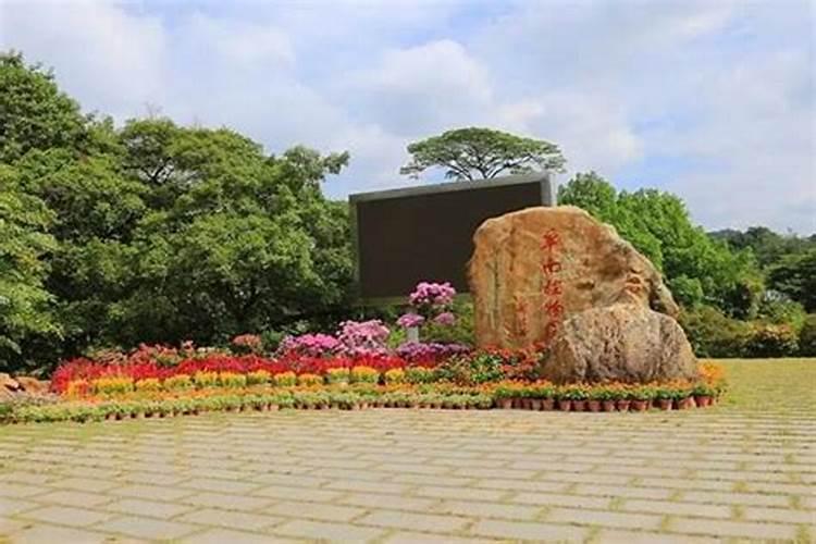 广州清明节旅游景点推荐