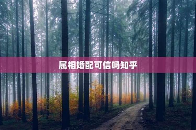 网上八字合婚靠谱吗,八字合婚可以相信吗