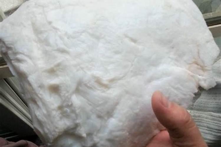 太岁是怎么形成的,石太岁的特征