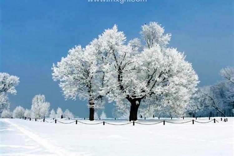 梦见雪景是什么征兆 女性