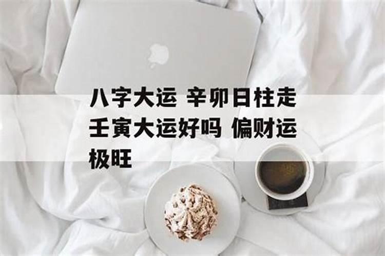 属马2025运势及运程详解