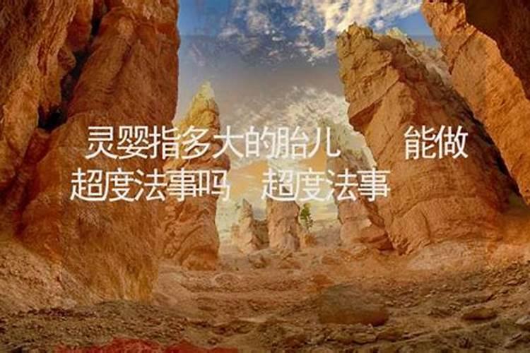 属猴女和属鸡男配对爱容易相处难的一对