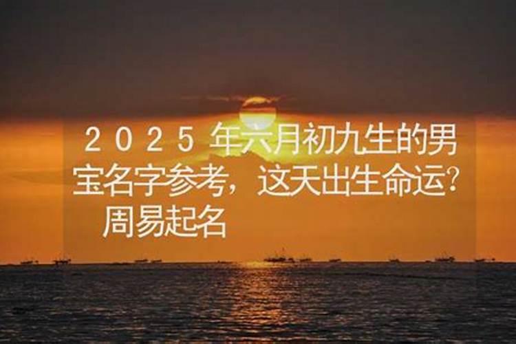 2025年6月9日生肖运势分析