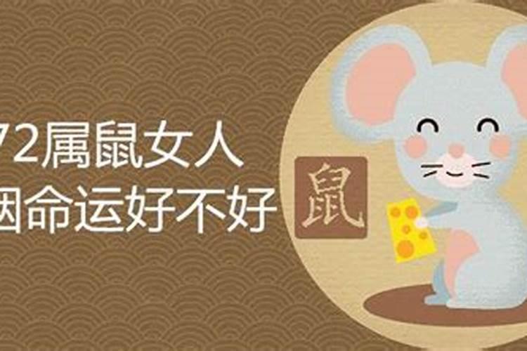 属龙男和属鼠女的婚姻配吗