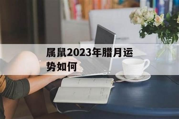 属龙 腊月生人的运势。