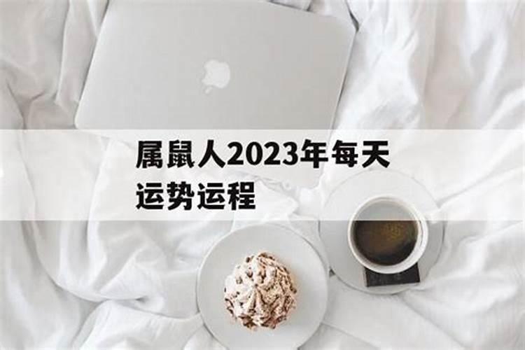 农历10月出生属鼠人命好吗