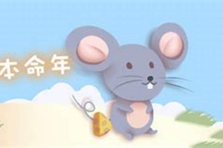 本命年为什么属牛的要带个老鼠呢？有没其他的说法？