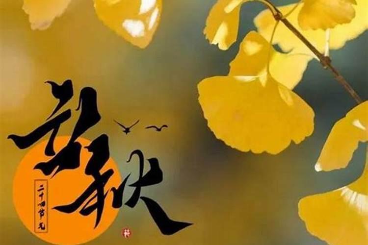 属马冲太岁,立秋能转运吗？