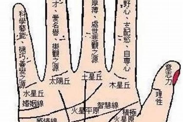 阴阳债怎么计算的？