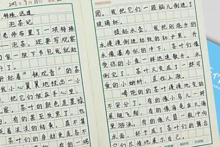 端午节周记二年级的20字