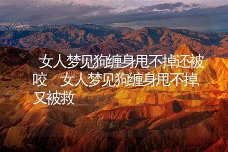 梦见狗缠着自己甩不掉是什么意思