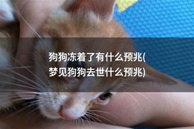 结婚一定要看八字吗 八字不合能不能结婚