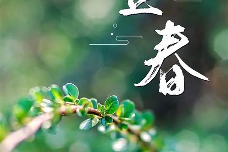 属牛的和什么属相最配婚姻最合适