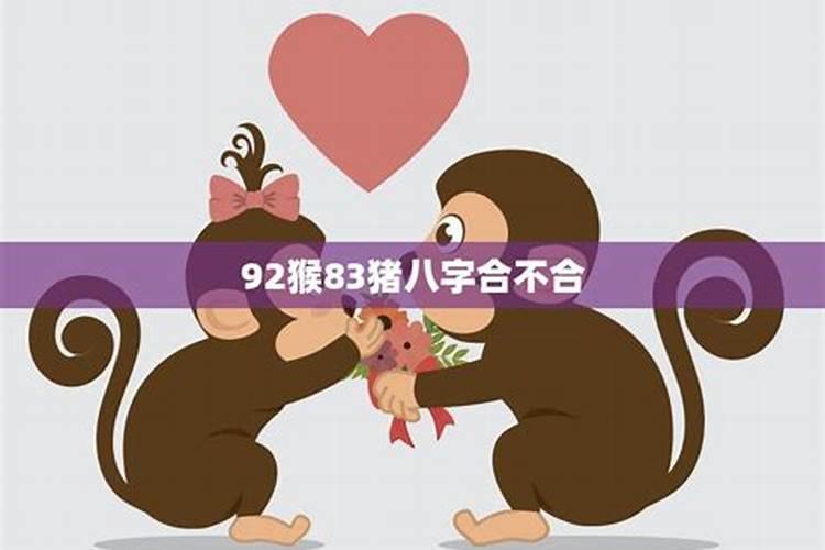 免费算婚姻:属猴男与属猪女的婚姻好吗 八字合财吗