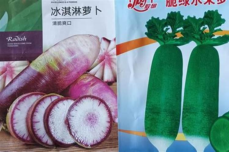 2025年属蛇姓王取什么名字 适合孩子名字搭配用字