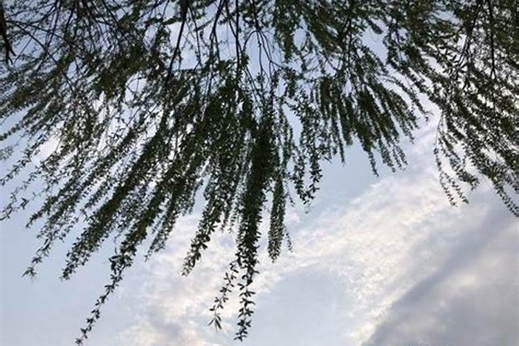 怀孕一个月药流安全吗