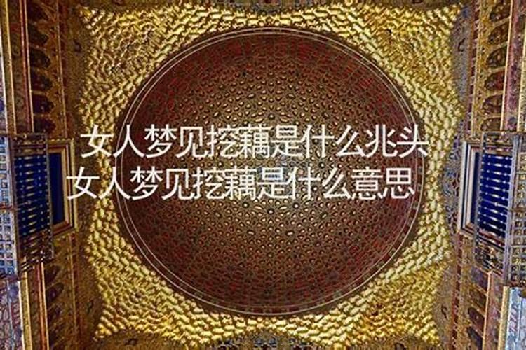 属羊男人和属马女人相配吗