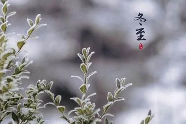 祭祀七七的烧七是白天还是晚上烧纸钱