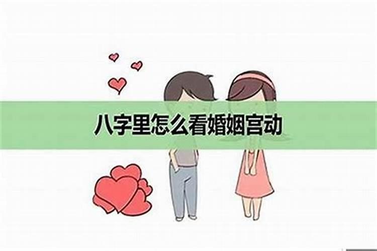 1977年属蛇女士[48岁]2025年运势全解析,月月带来成功的秘诀