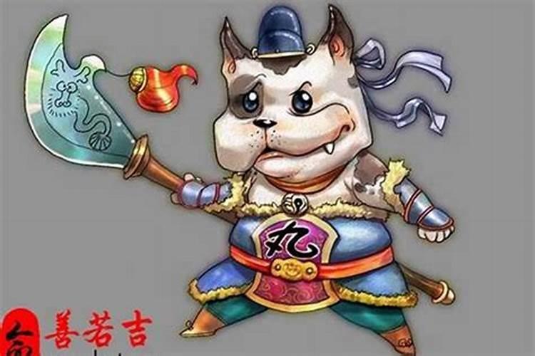 2025属鸡人的全年运势及运程如何