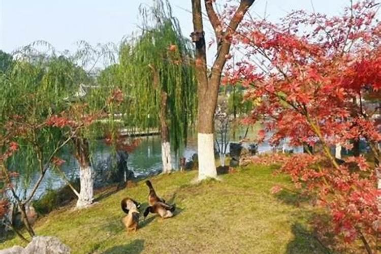 做乱七八糟的梦是什么意思