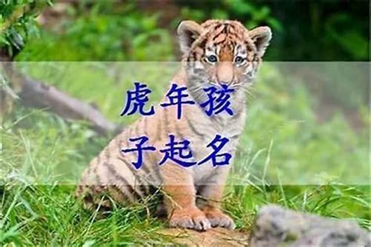 2013年农历九月初九下午一点多出生的小男孩叫什么名字好？父亲姓陈...