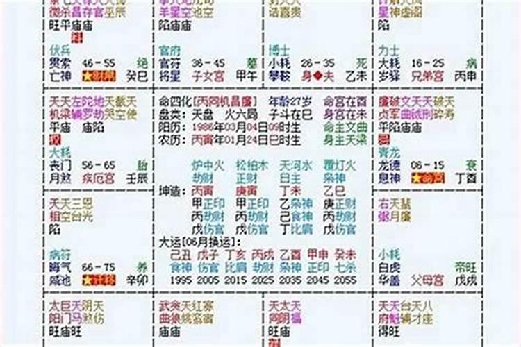 鸡年犯太岁的生肖