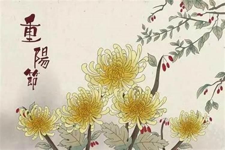 学校重阳节活动策划方案最新5篇