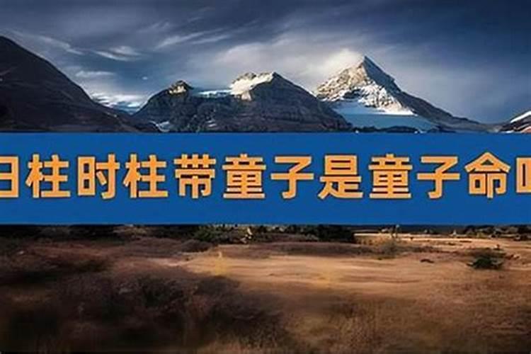 请大家回答我,童子命真的存在吗？