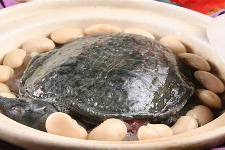 清明节去哪玩