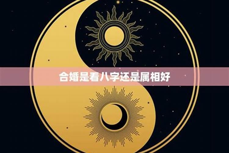 求一2年级小学生用的主题是:“元宵节的习俗”的PPT,要实用不要网上胡乱...