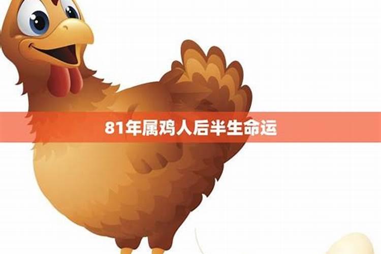 1981年属鸡男2024年每月运程怎么样