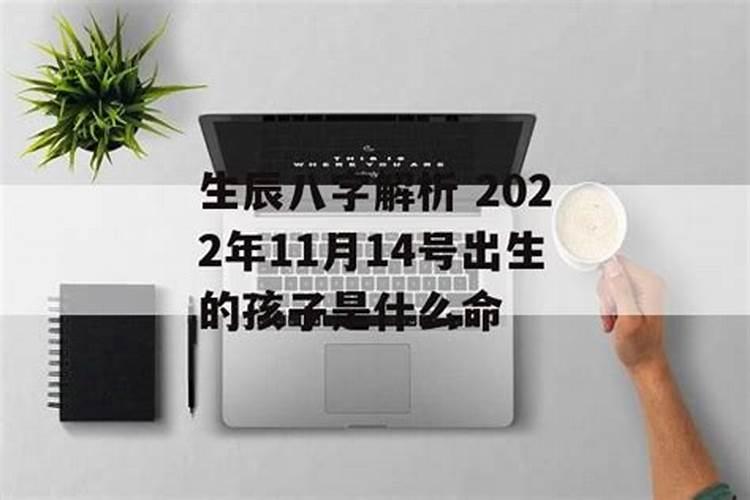 子午相冲最简单的化解方法