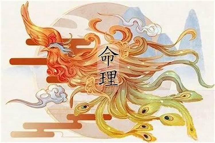 我想取个法号