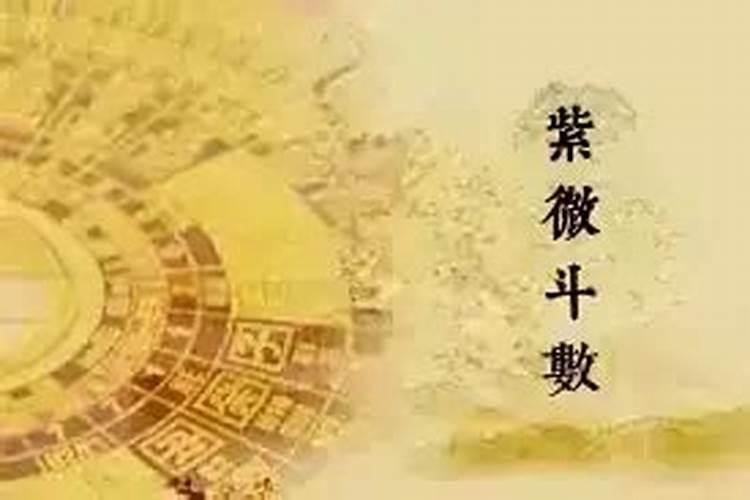 71年猪2025年运势和财运怎么样