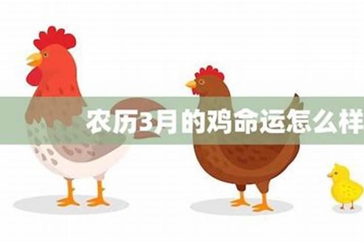 艾菲尔 十二生肖冬至节气运势分析12.2112.27