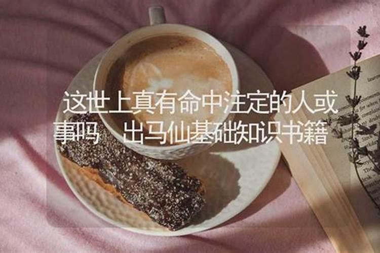 有人懂出马仙做婚姻和合吗