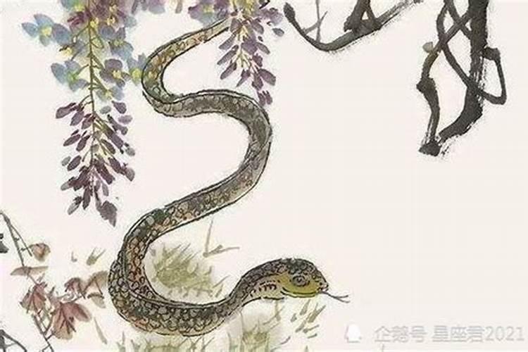 生辰八字测两人关系,查两个人生辰八字合不合