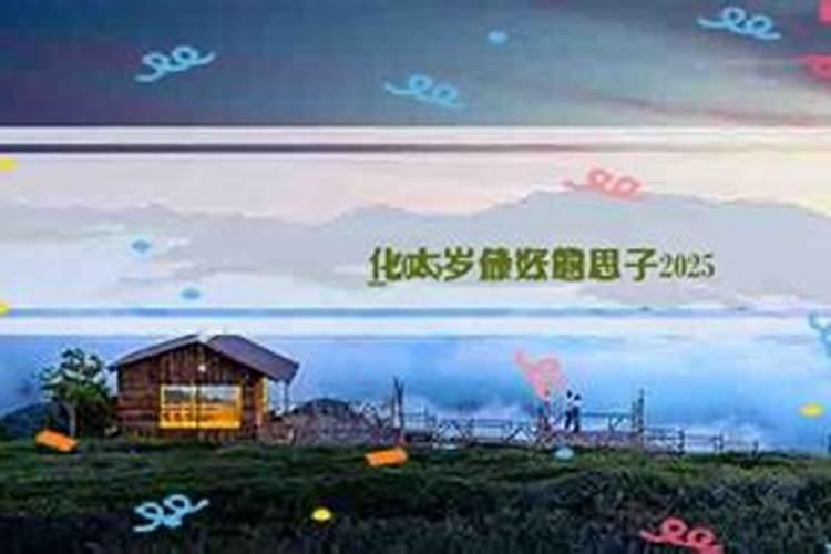 不同年份冲太岁的属猪人的化解方法