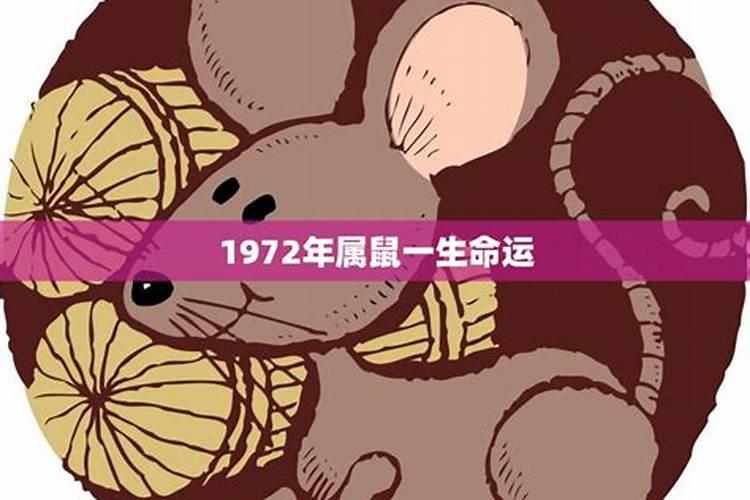 立冬和冬至什么区别