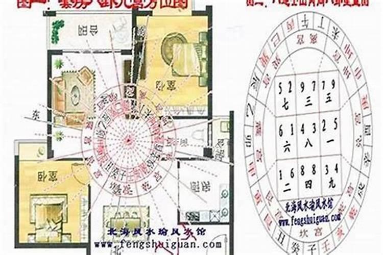 生肖马2025年犯太岁吗