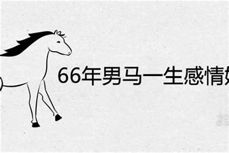 66年属马的2025年运势怎么样